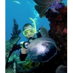 ALTITUDE DIVER