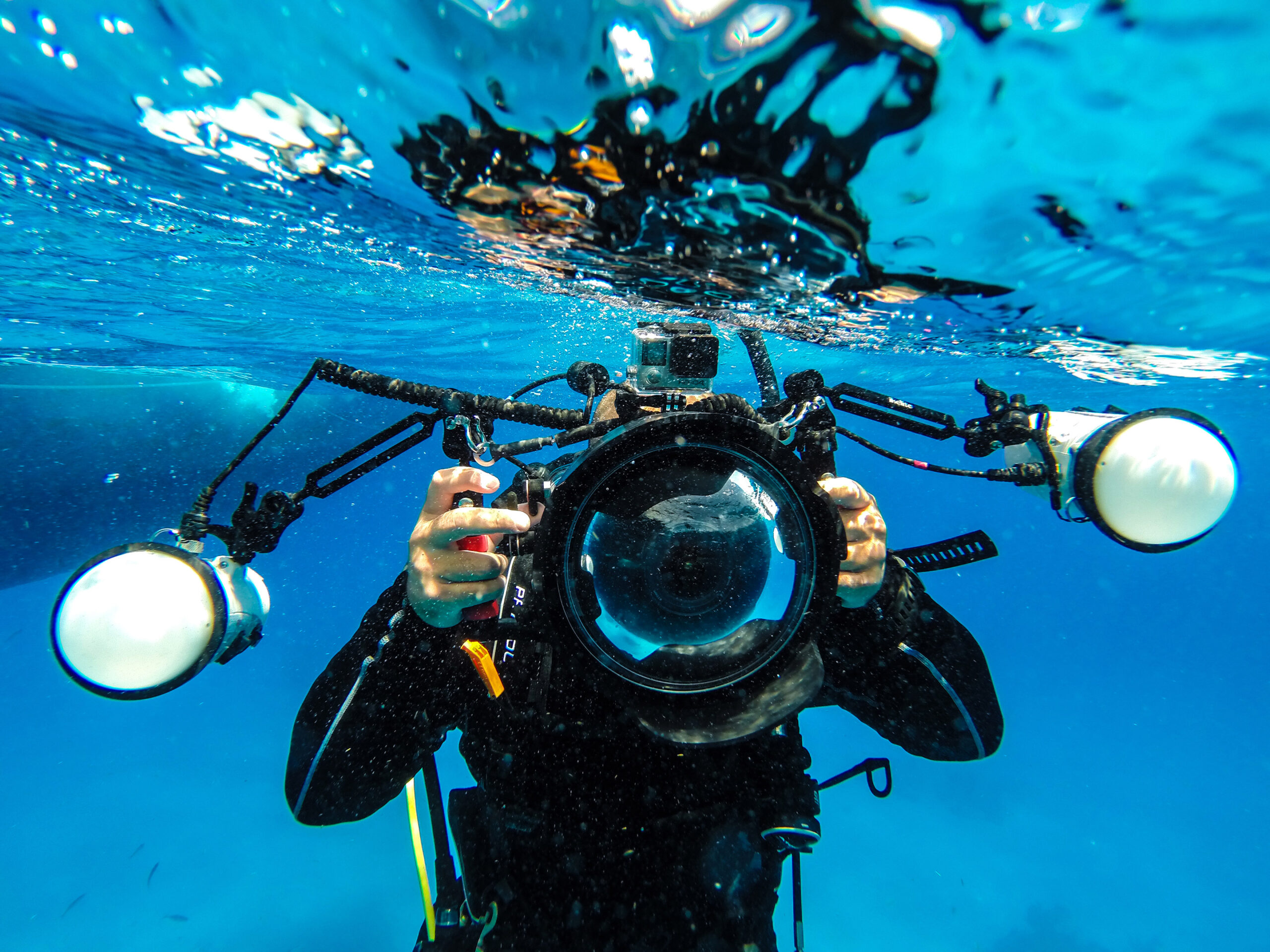 Digital-underwater-photographer-scaled-1.jpg DIGITAL UNDERWATER PHOTOGRAPHY - Image 1