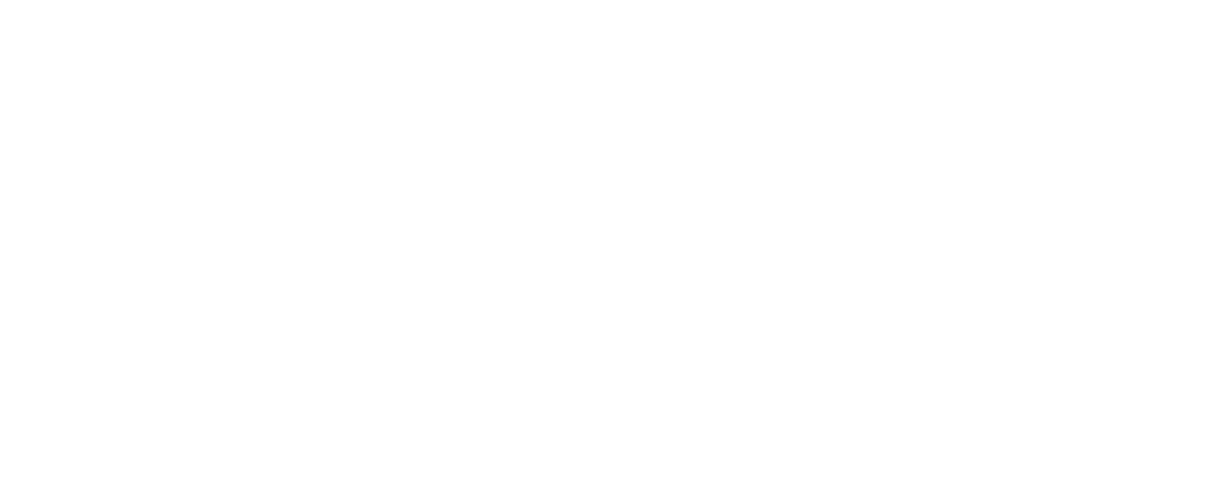 Logo-Faber-dark.png