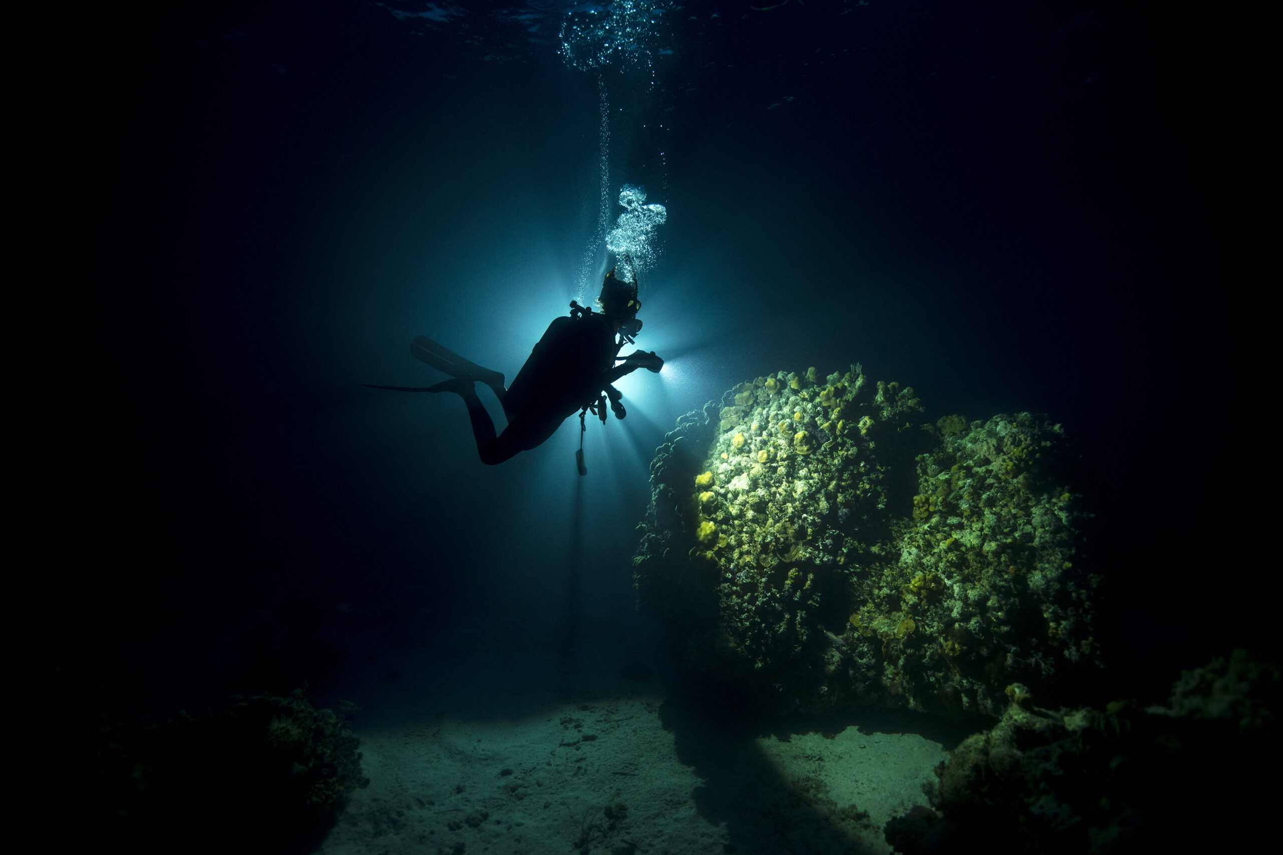 Night-Diver-scaled-1.jpg NIGHT DIVER - Image 1