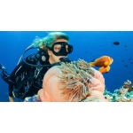 UNDERWATER NATURALIST