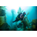 DRYSUIT DIVER