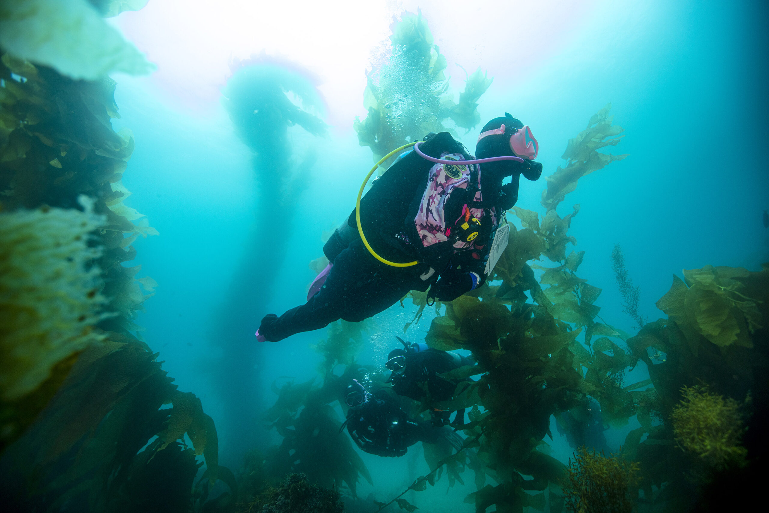 drysiote-scaled-1.jpg DRYSUIT DIVER - Image 1